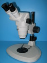 NSZ-1065DB 雙眼立體顯微鏡-定格變倍