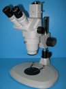 NSZ-1065DT 三眼立體顯微鏡-定格變倍